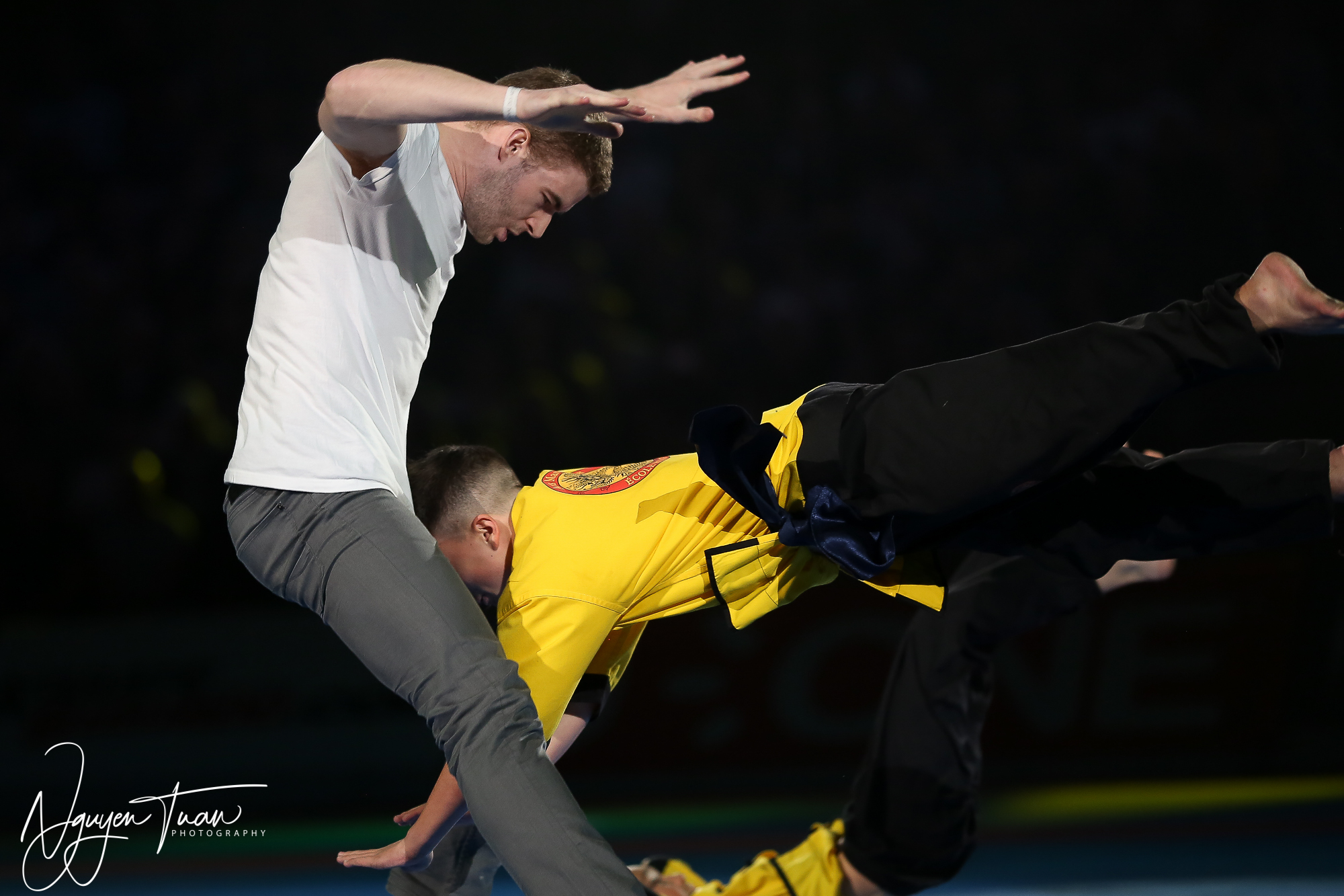 20190324 Festival des Arts Martiaux 5042